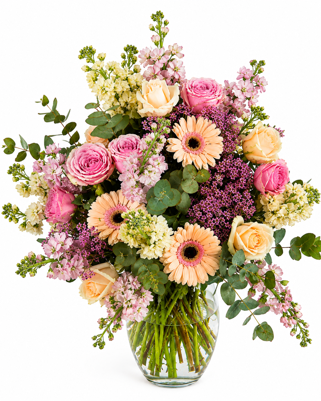 016F239B-E20A-4FC3-9EF4-D0F922070FF9.PNG