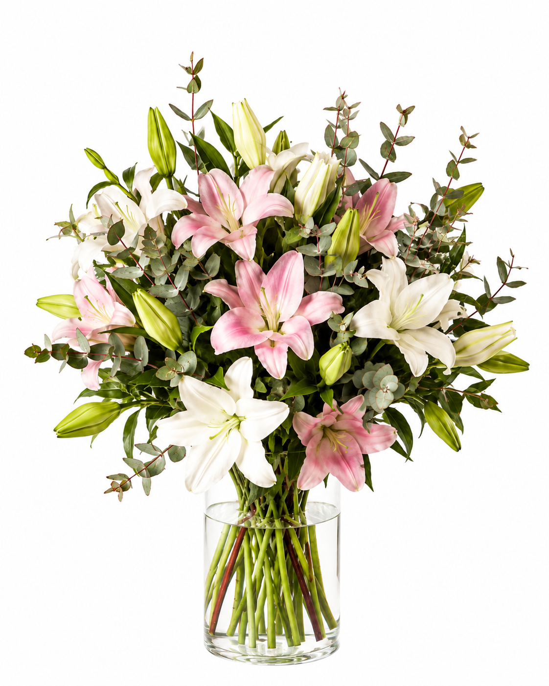 04981C57-F8B5-4475-9EFD-89F7DFE4B55B.PNG